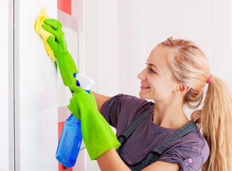 Professional rug cleaning process in a bright home interior