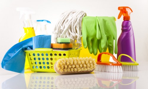 Treating upholstery for stubborn pet stains and odours