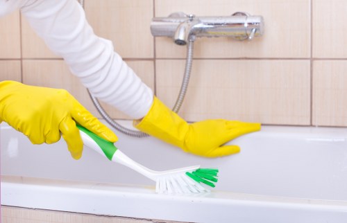Stain removal treatment for clothing and upholstery