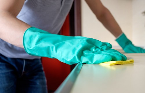 Applying enzyme cleaner to remove pet urine smell
