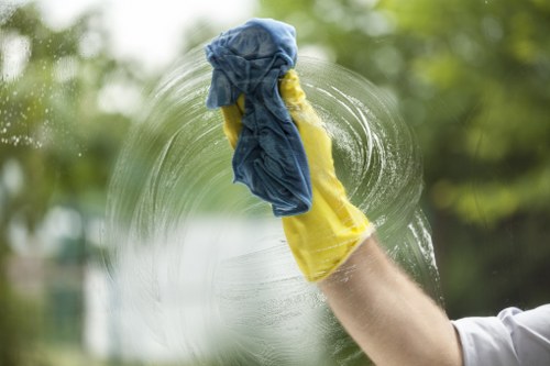 Professional deep cleaning for pet stain odour removal